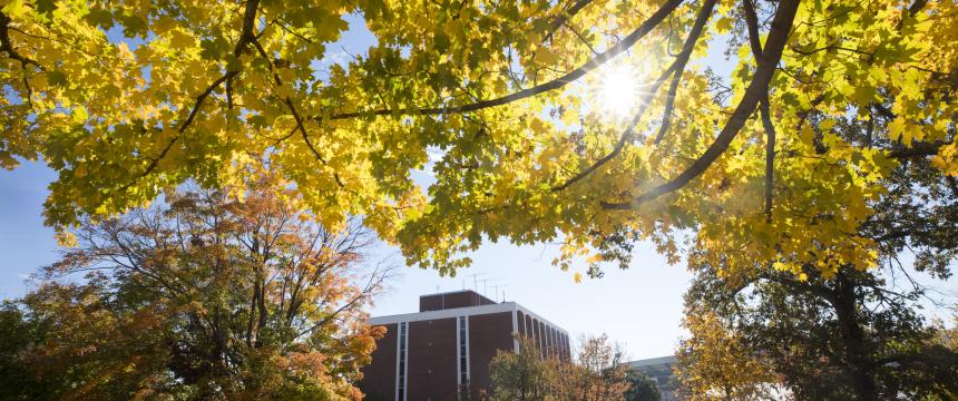 UGA Psychology building facing Baldwin Street